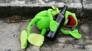 Drunk Essay Fiesta Frog